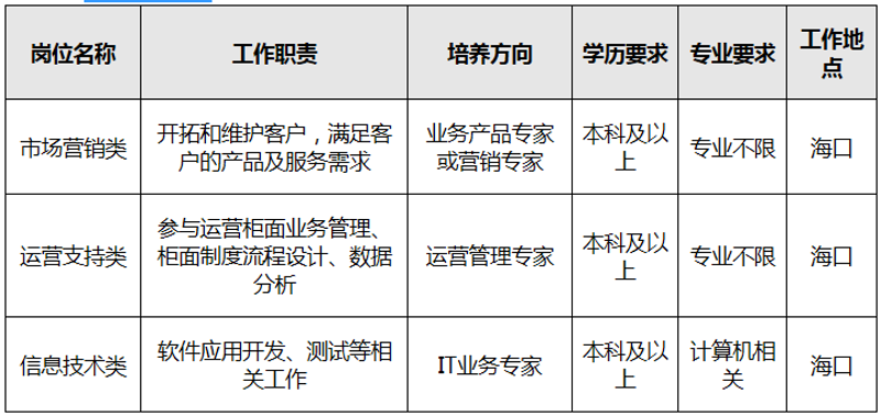 软件定制开发：解锁企业信息化升级的新钥匙